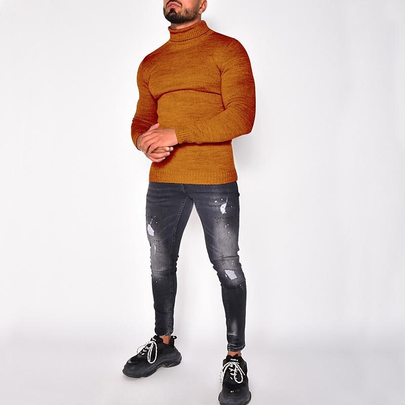 Pull col roulé homme en tricot uni basique